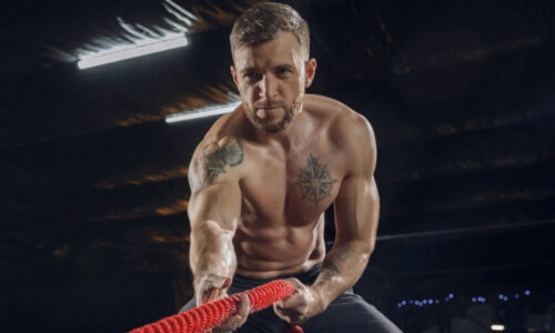 миниатюра курса