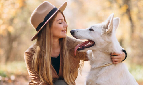 миниатюра курса