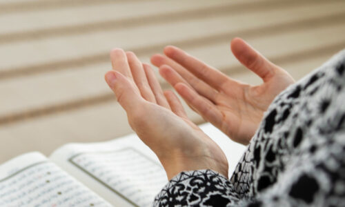 миниатюра курса